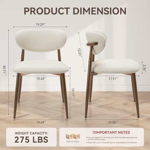 Best Dining Chair For Contemporary Home