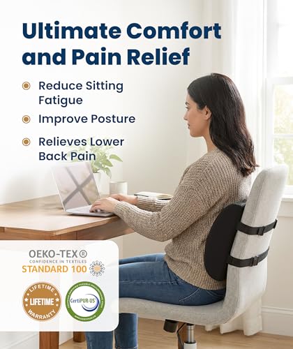 Best Lift Chair For Lower Back Pain